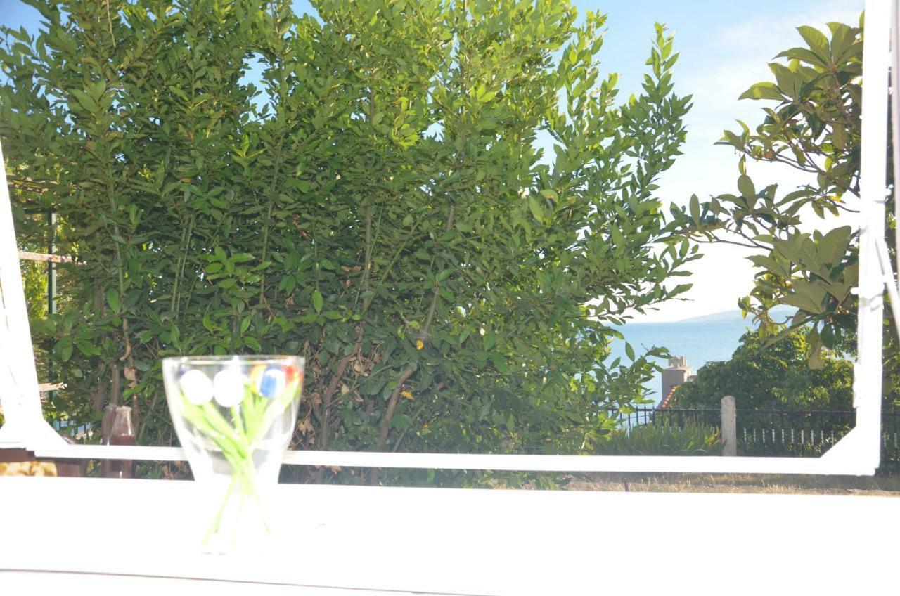 Villa Biondina 塞尼 外观 照片